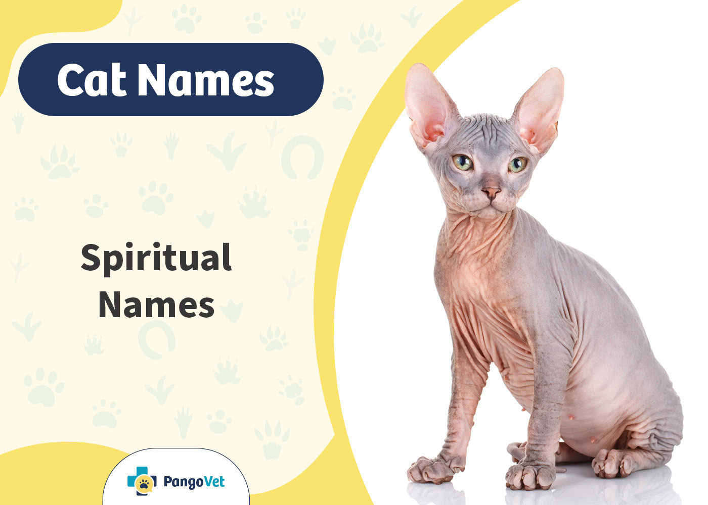 PangoVet_Spiritual Names