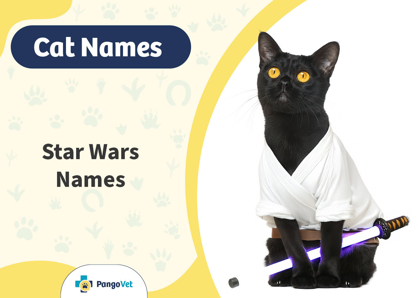 PangoVet_Star Wars Cat Names