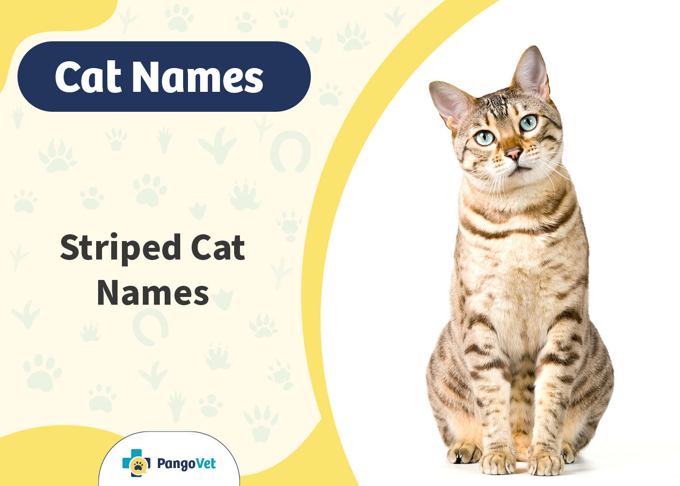 PangoVet_Striped Cat Names