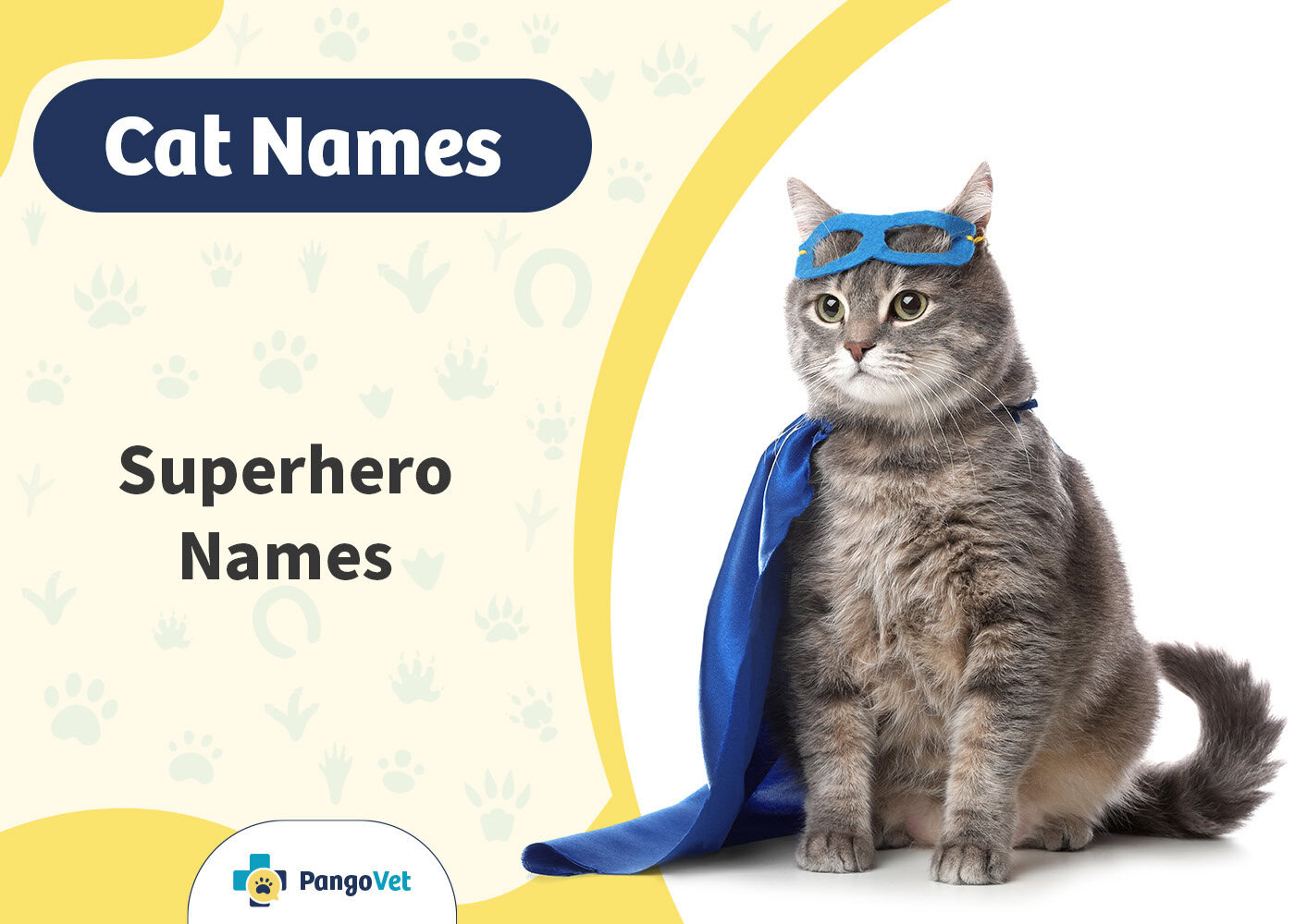 PangoVet_Superhero Cat Names