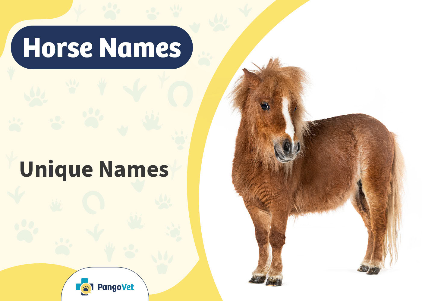 PangoVet_Unique Horse Names