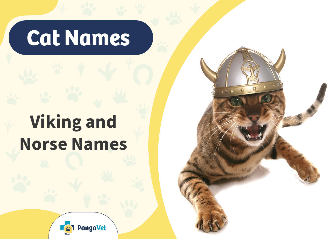 PangoVet_Viking & Norse Cat Names