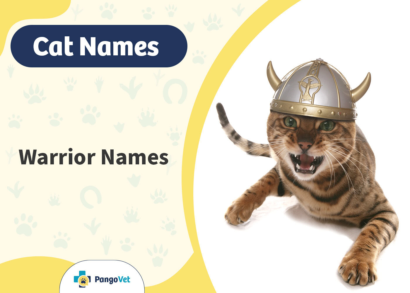 PangoVet_Warrior Cat Names