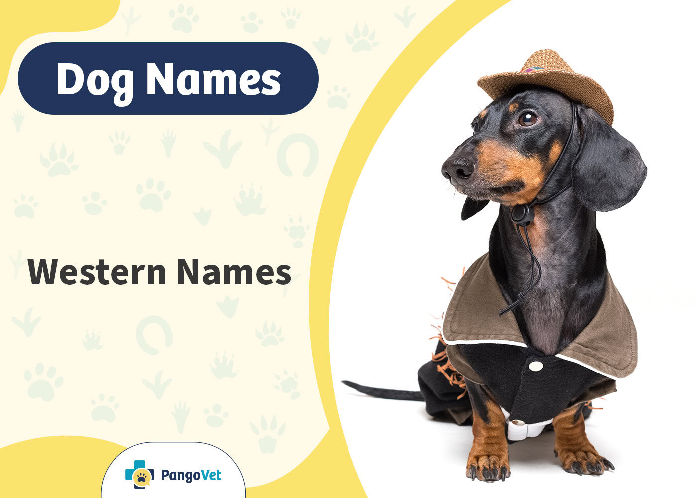 PangoVet_Western Dog Names