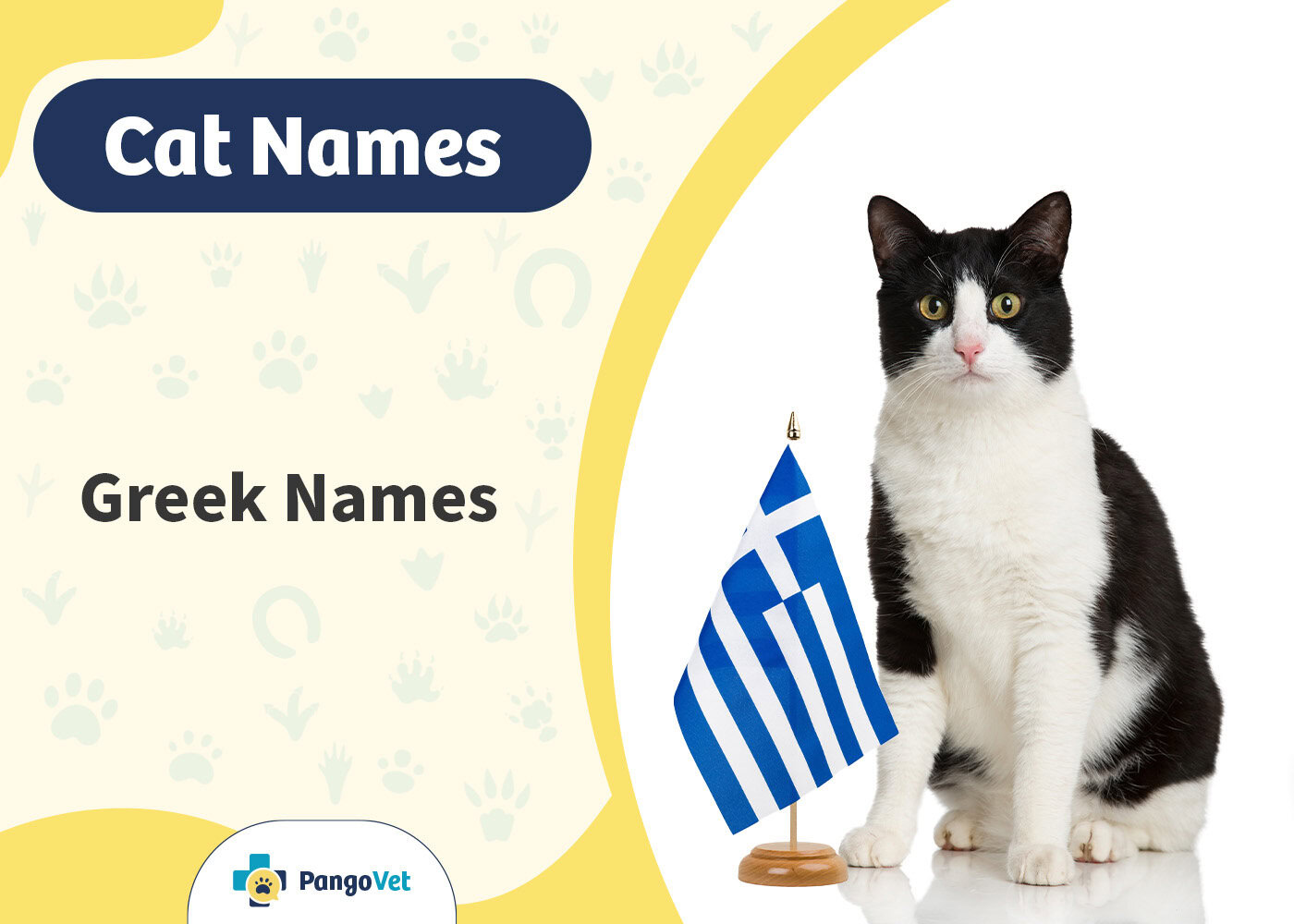 PangoVet_Greek Cat Names