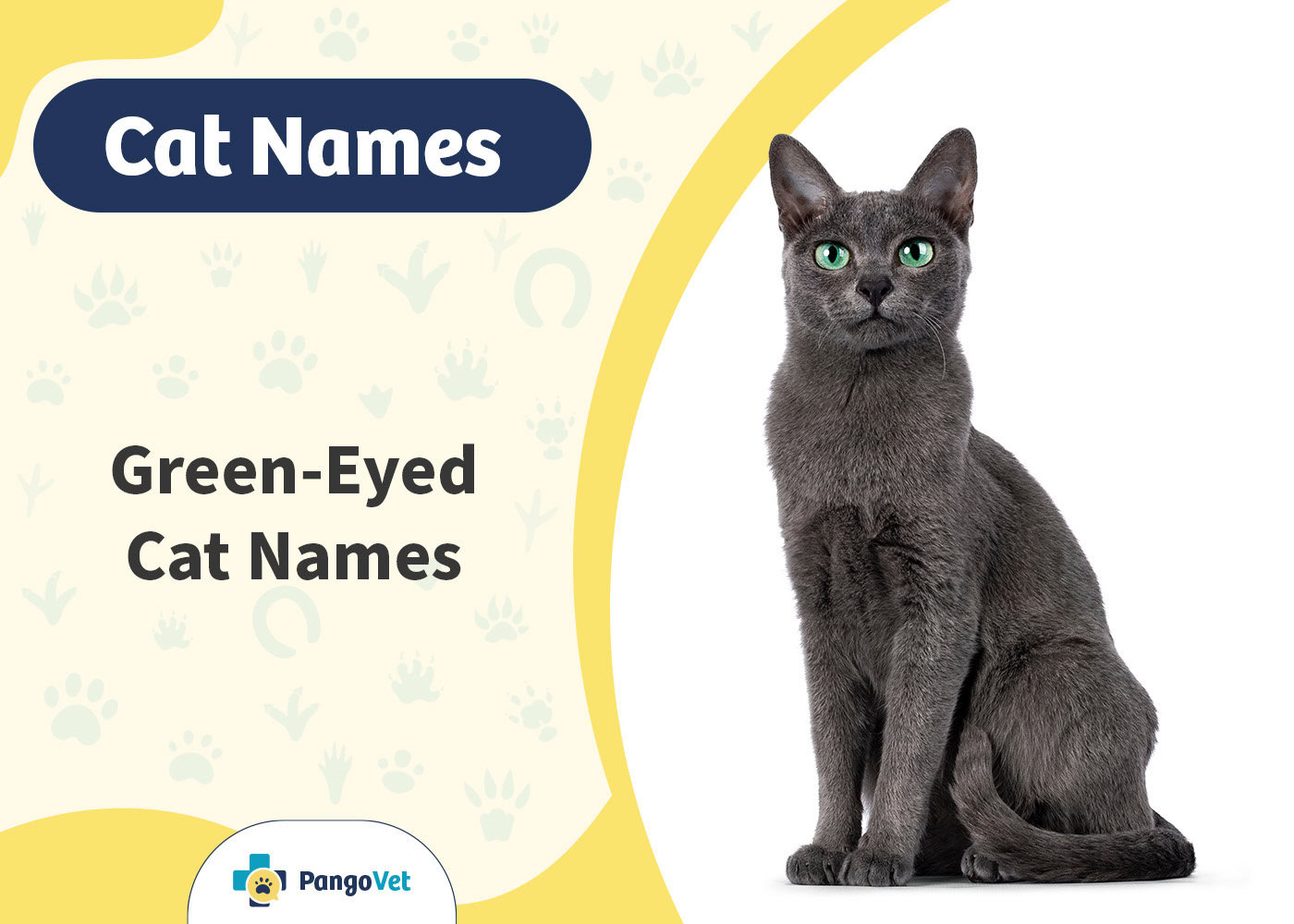 PangoVet_Green Eyed Cat Names