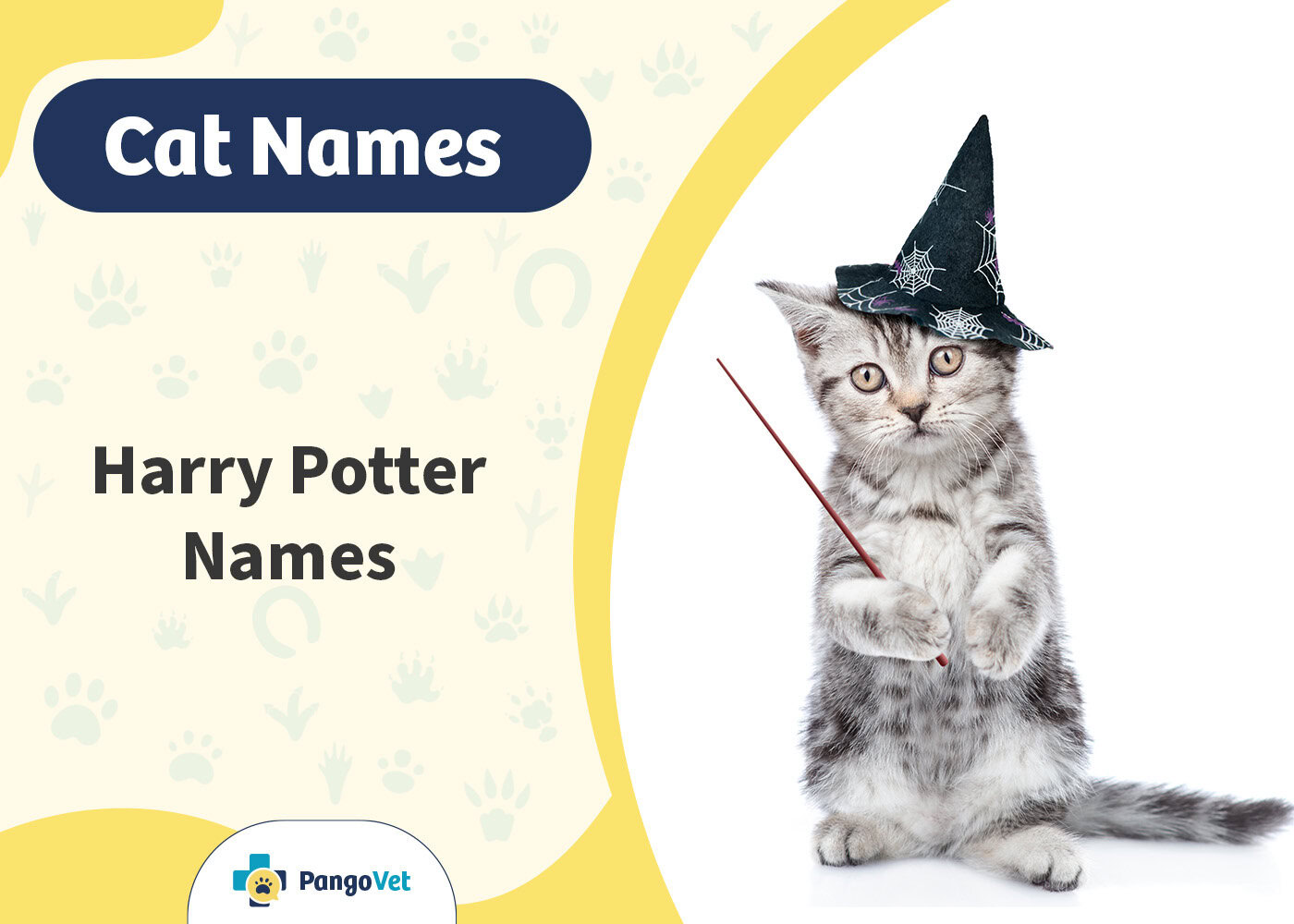 PangoVet_Harry Potter Cat Names