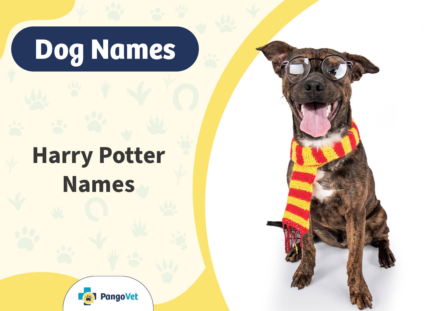 PangoVet_Harry Potter Dog Names