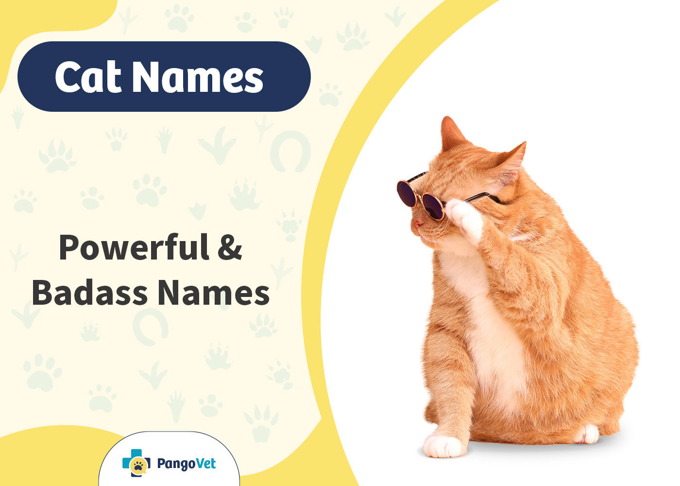 PangoVet_Powerful & Badass Cat Names