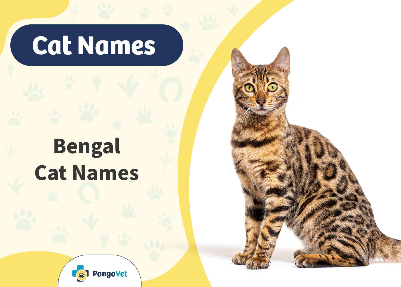 PangoVet_Bengal Cat Names