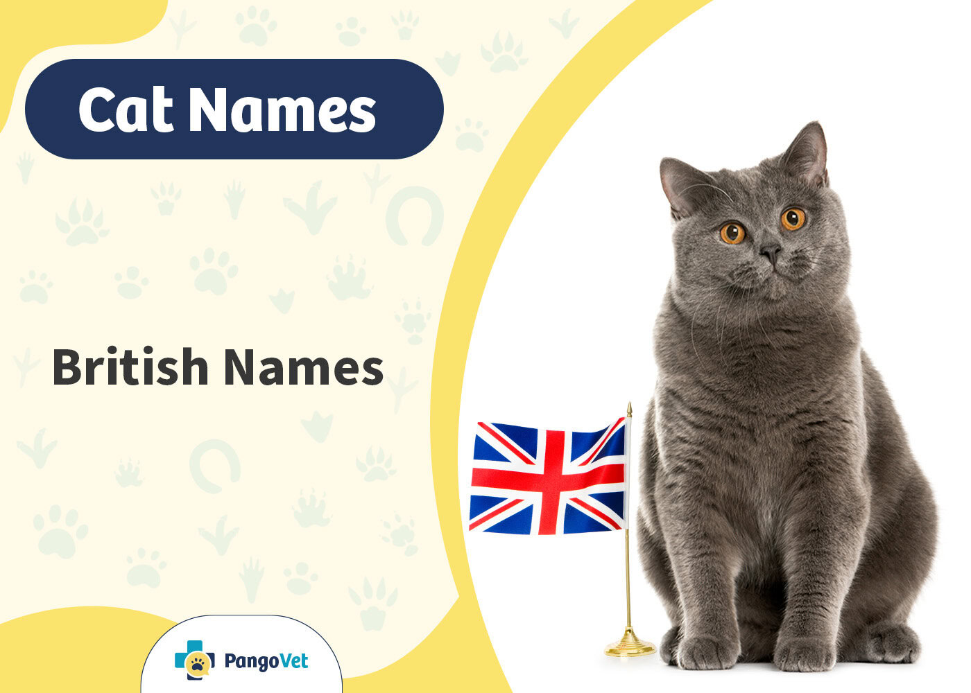 PangoVet_British Cat Names