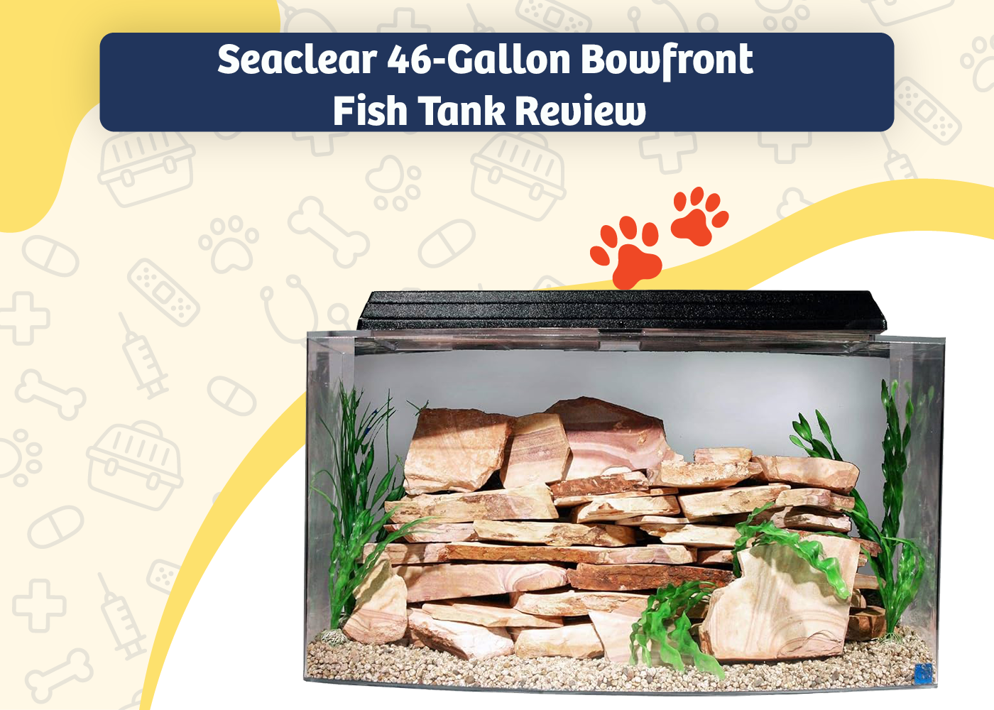 Seaclear 46-Gallon Bowfront Fish Tank Review
