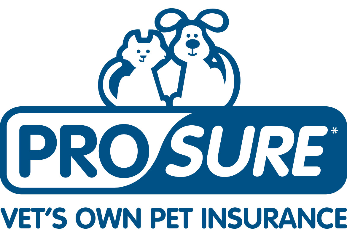 10 Best Pet Insurance Providers in Australia in 2024 - Reviews ...