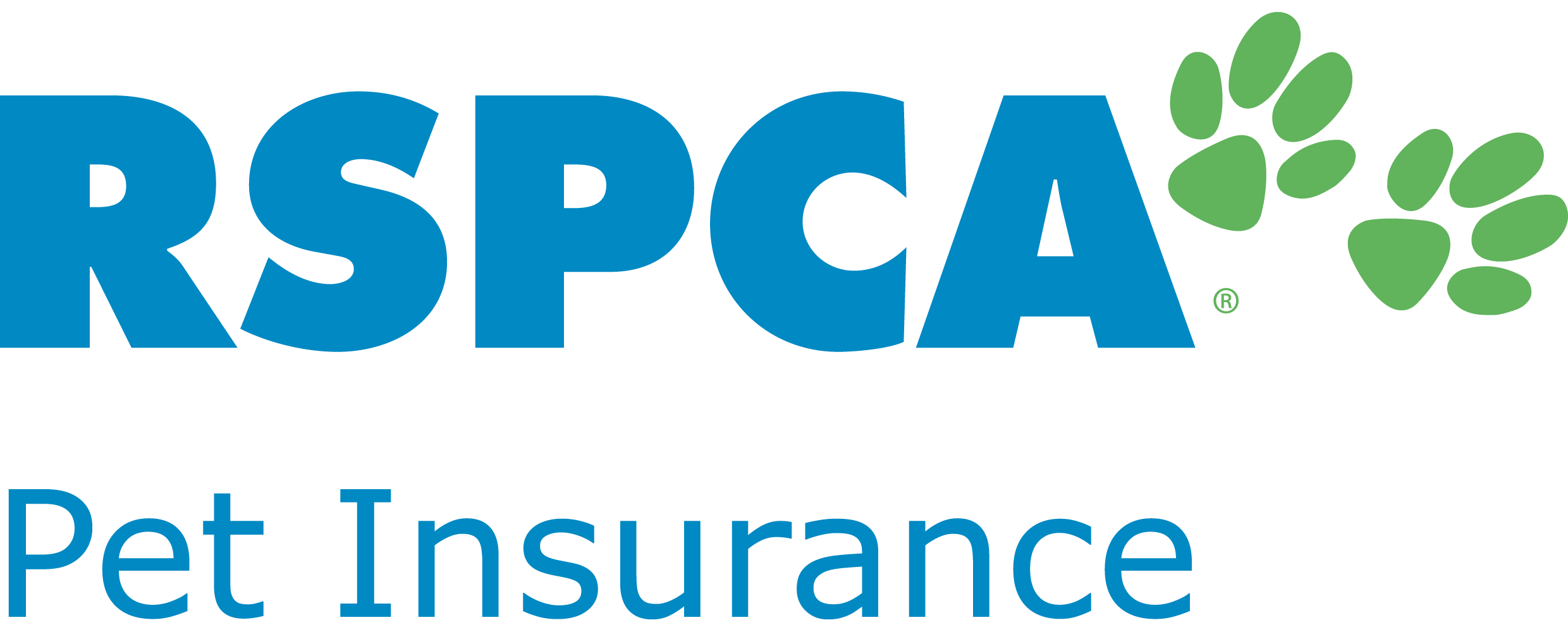 10 Best Pet Insurance Providers in Australia in 2024 Reviews