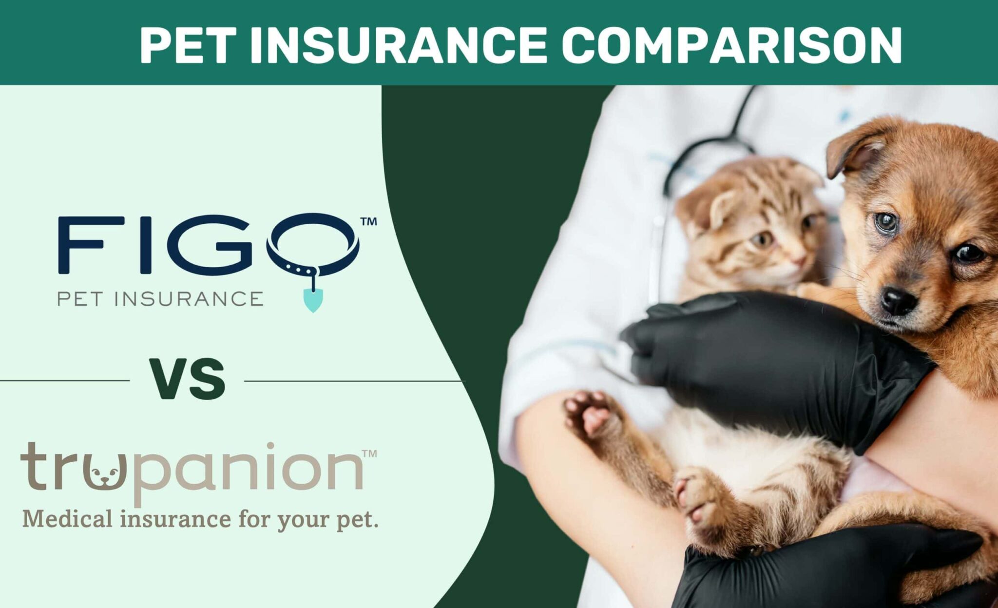 Figo vs Trupanion Pet Insurance Comparison 2024 Price, Coverage & More