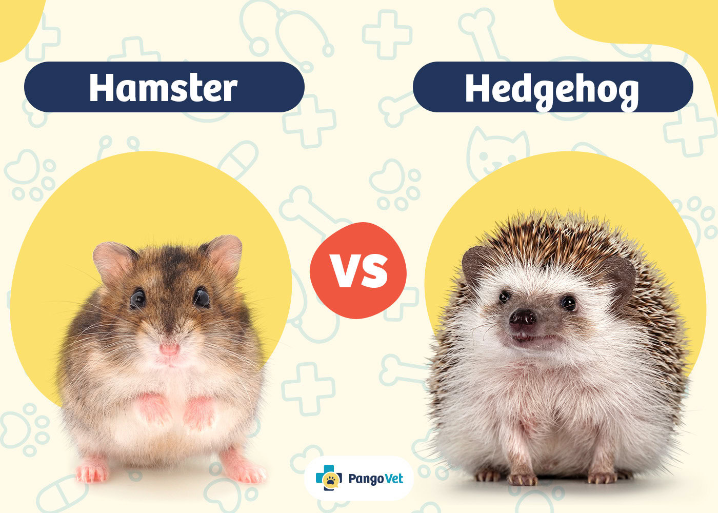 PangoVet_Hamster vs Hedgehog