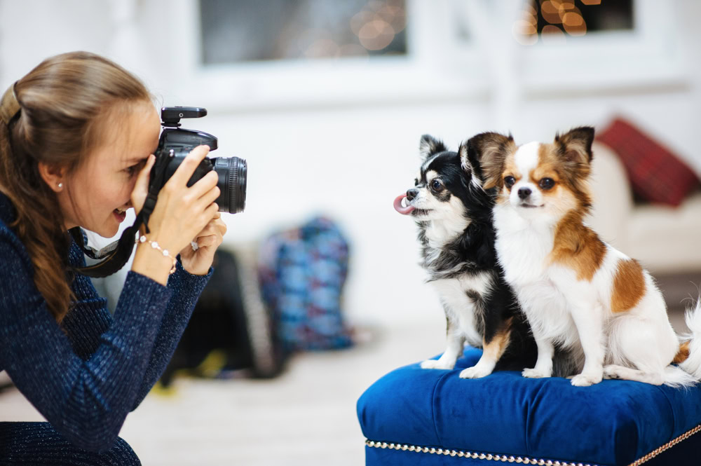 girl-taking-a-photo-of-her-two-dogs