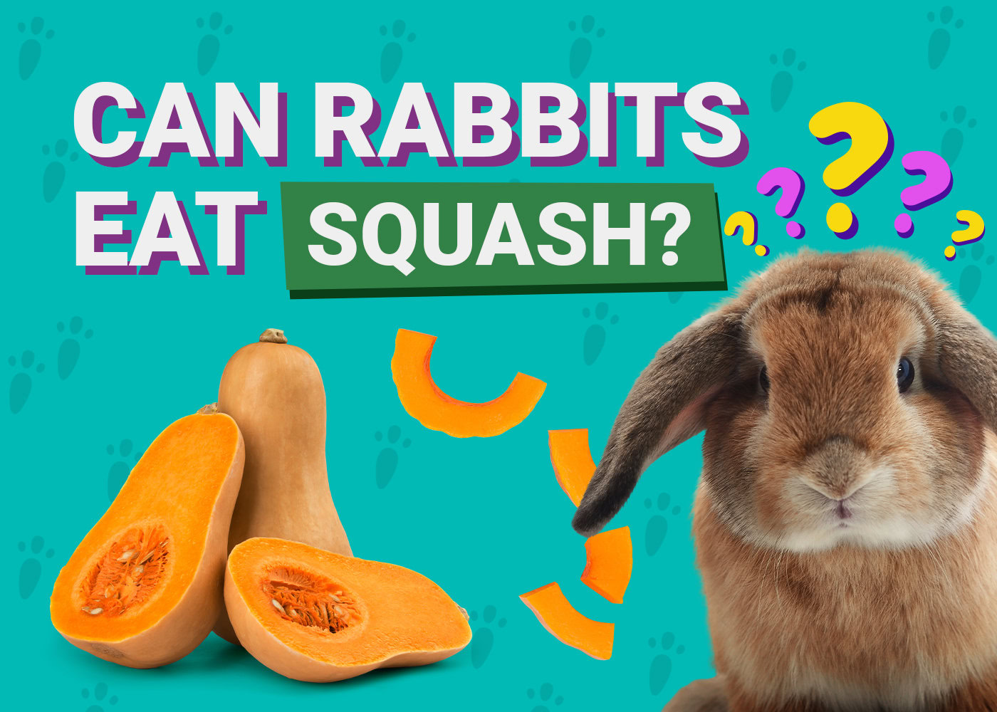 Can Rabbits Eat Squash? Vet-Reviewed Nutritional Facts &amp; FAQ 