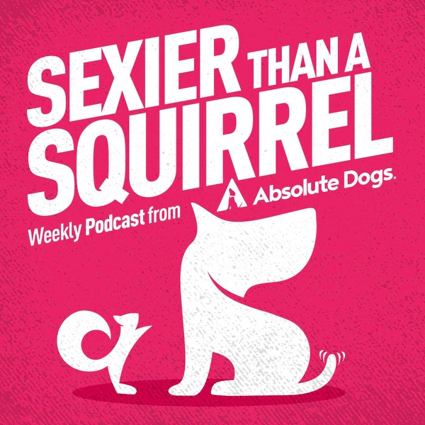 Sexier Than a Squirrel