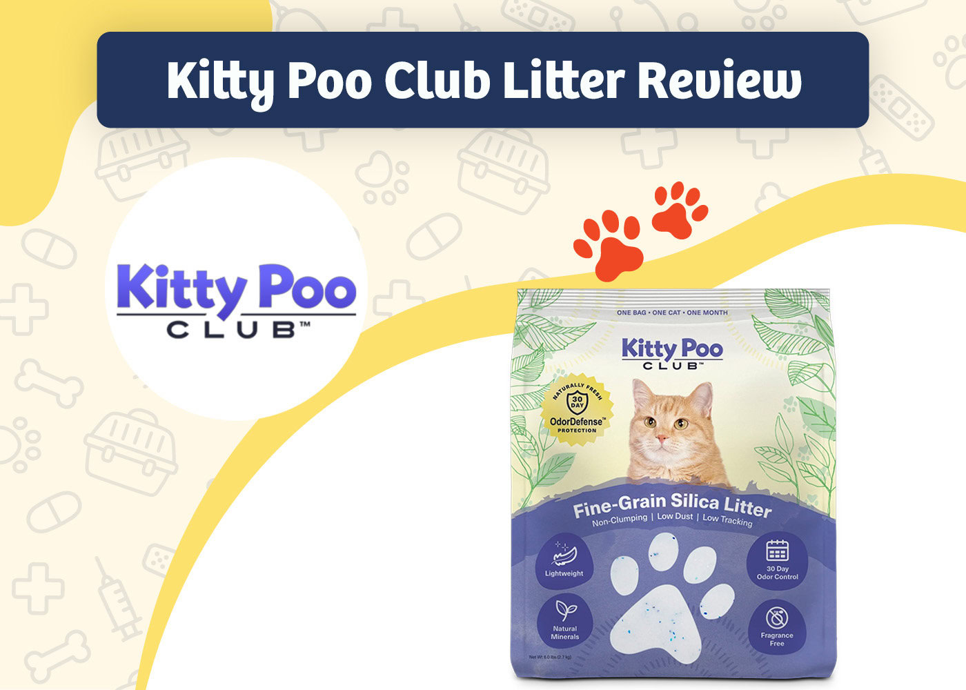 Cat litter club best sale