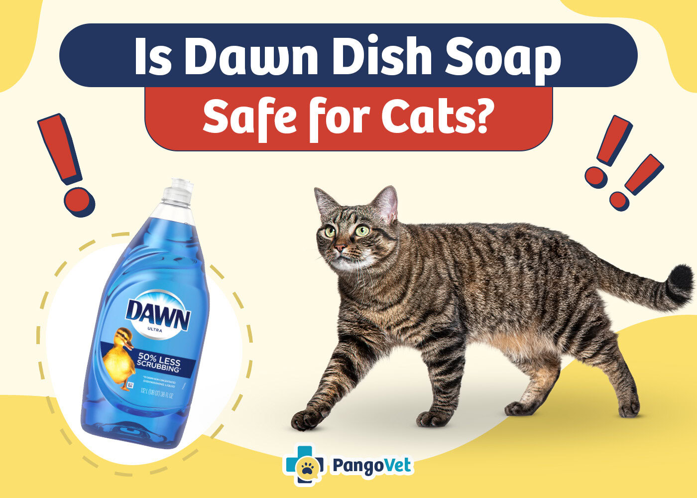 Dawn Dish Soap Toxic Humans Dogs Cats Plants: Safety Guide