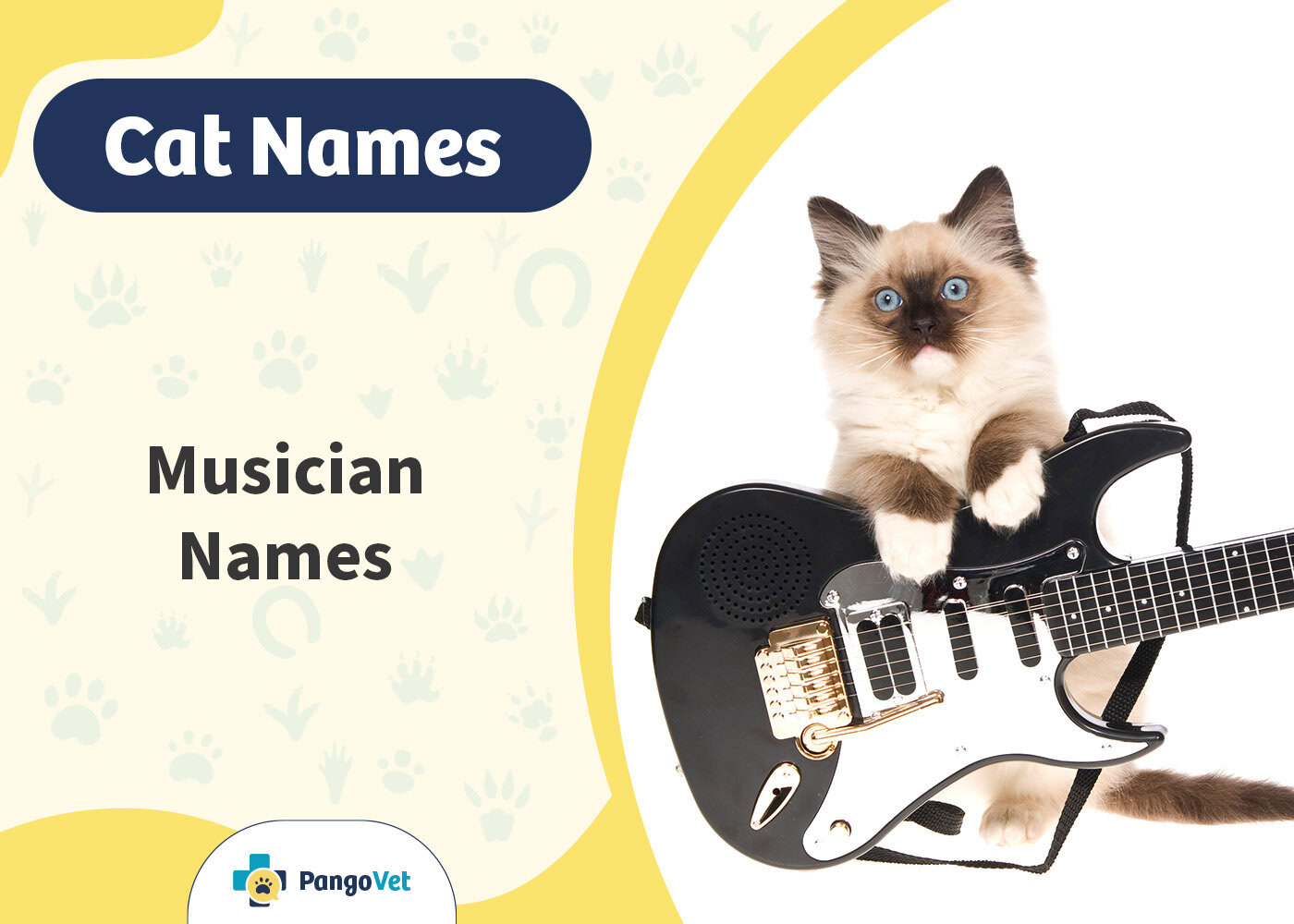PangoVet_Musician Cat Names
