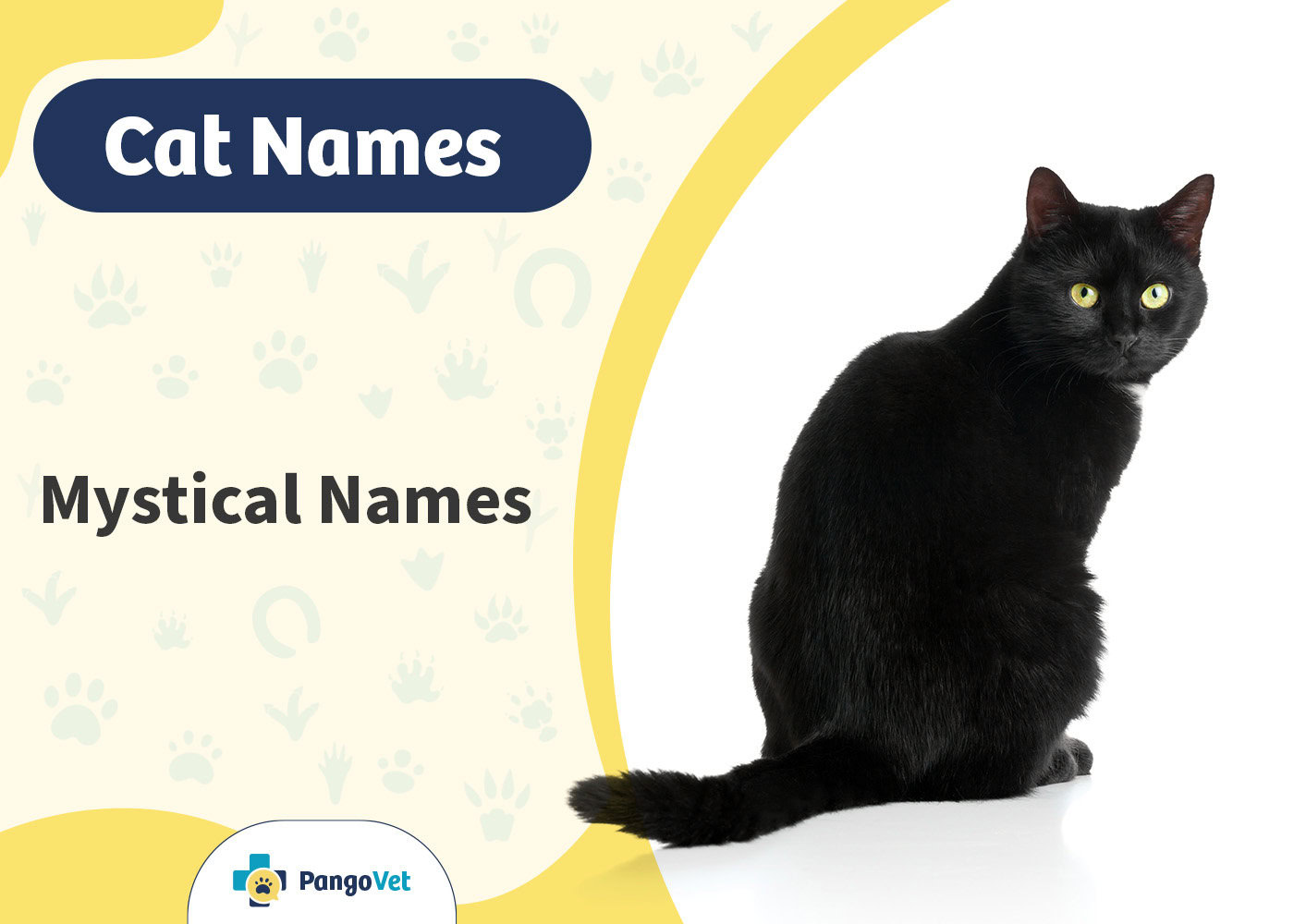 PangoVet_Mystical Cat Names