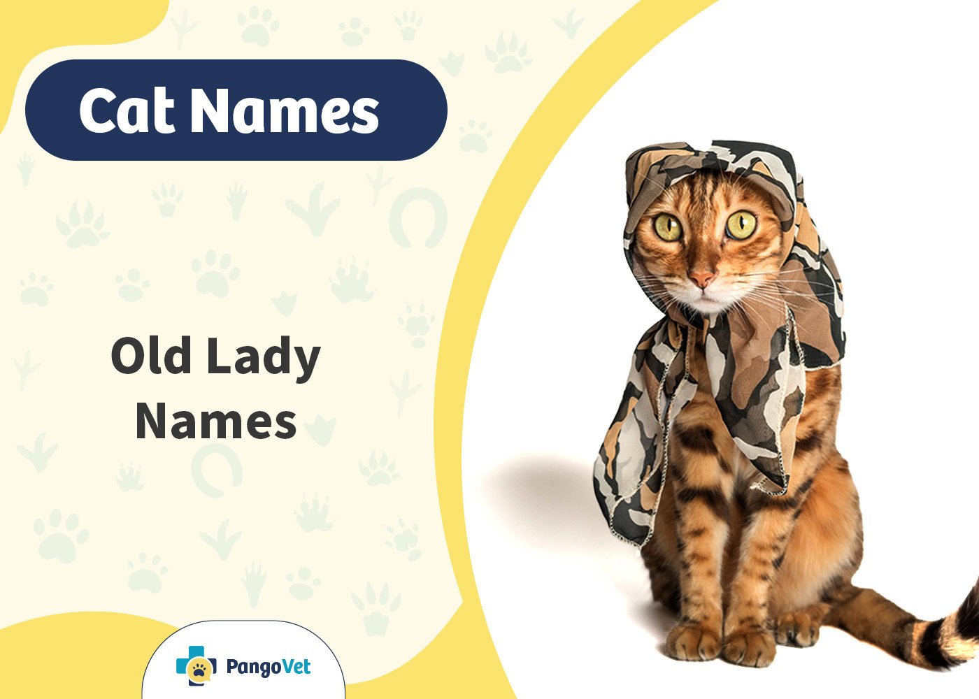 PangoVet_Old Lady Cat Names