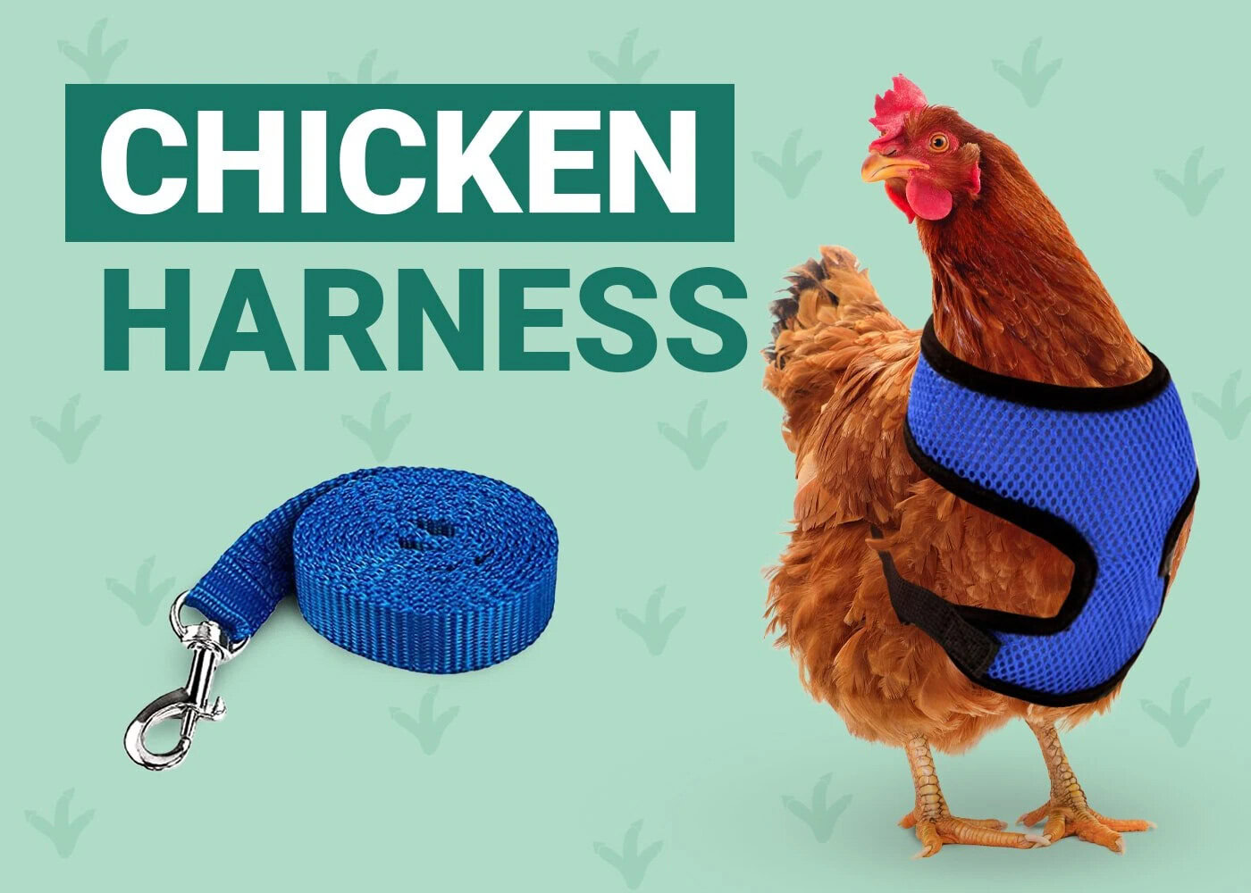 chicken harness