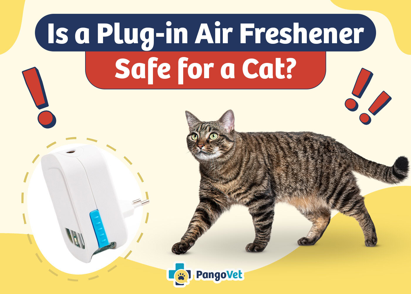 Is a Plug-in Air Freshener Safe for a Cat? Vet-Verified Facts & FAQ