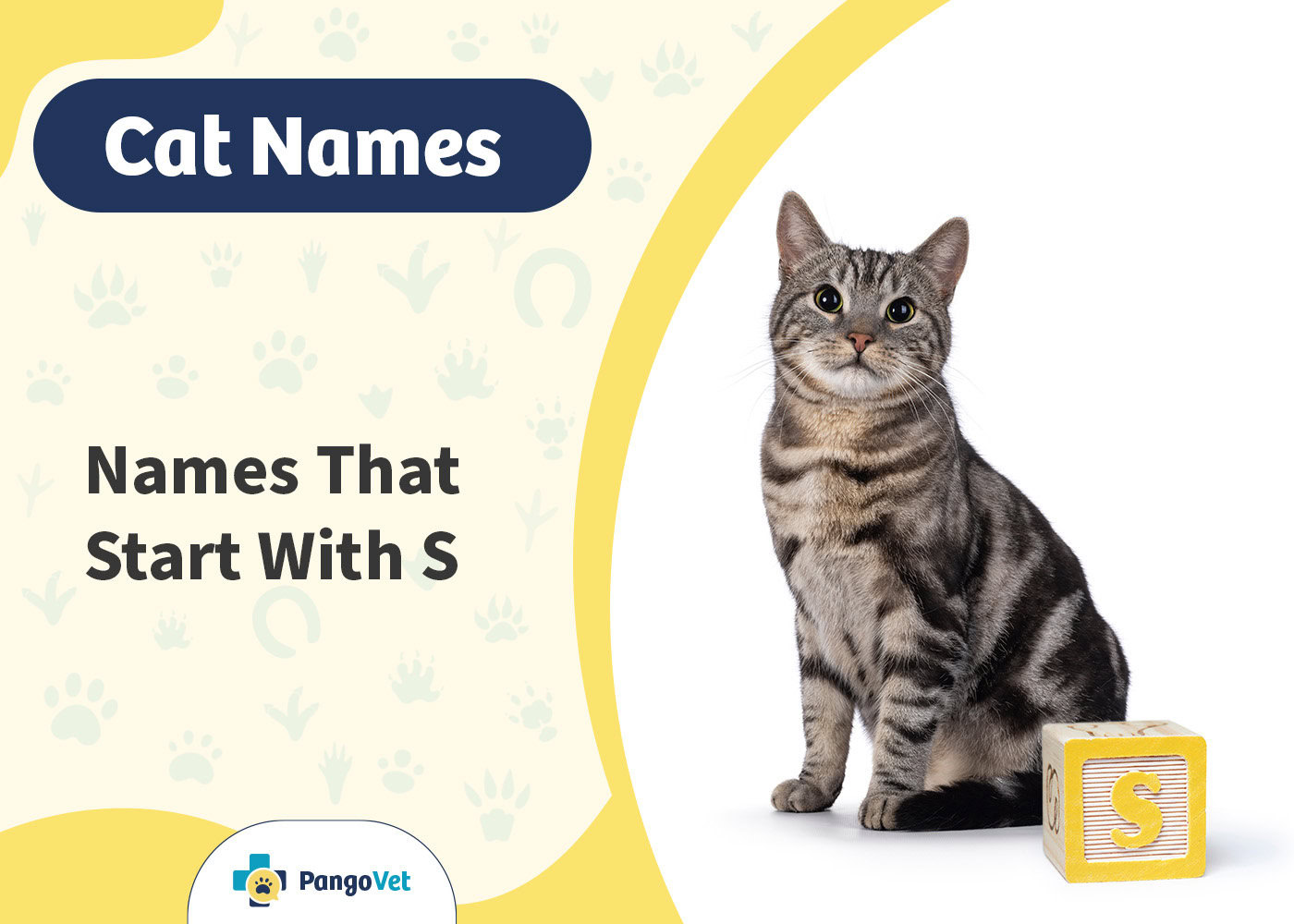 PangoVet_Cat Names that Start with S