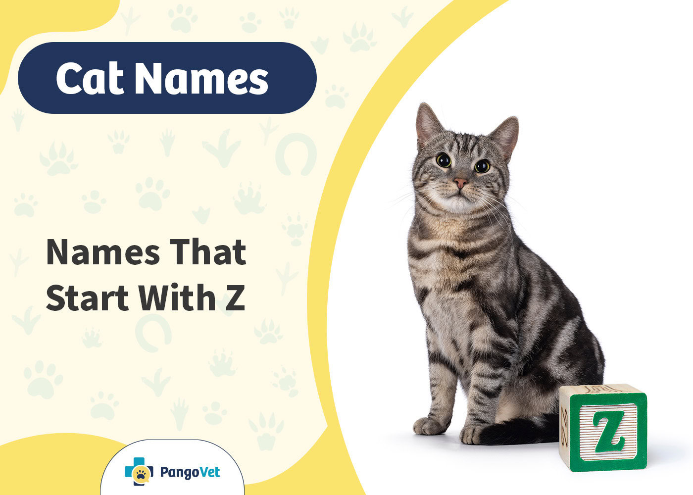 PangoVet_Cat Names that Start with Z