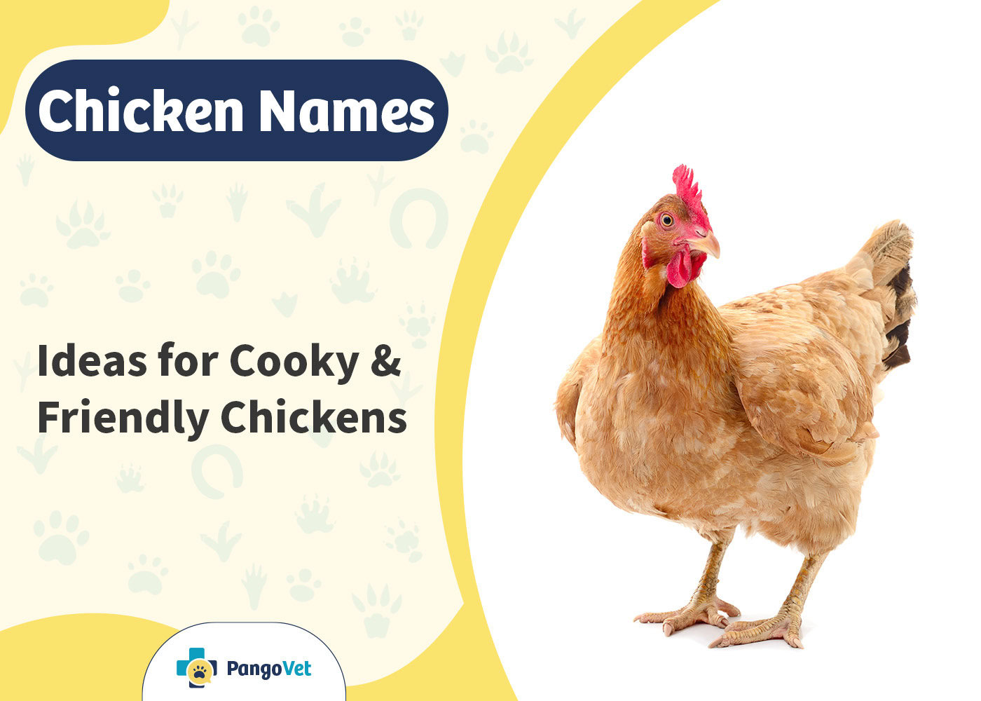 PangoVet_Chicken Names