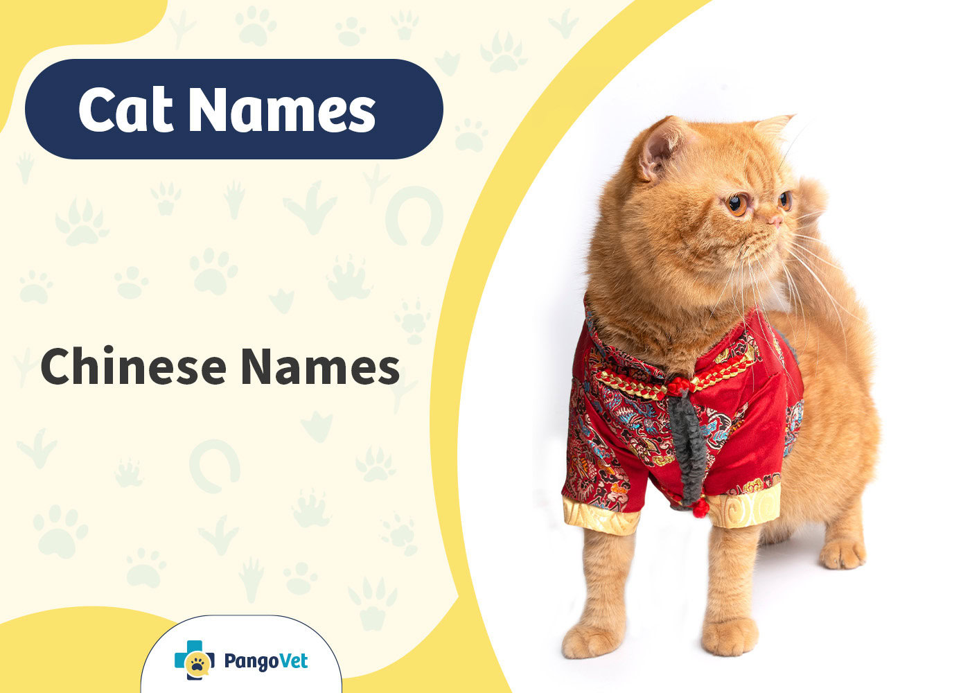 PangoVet_Chinese Cat Names