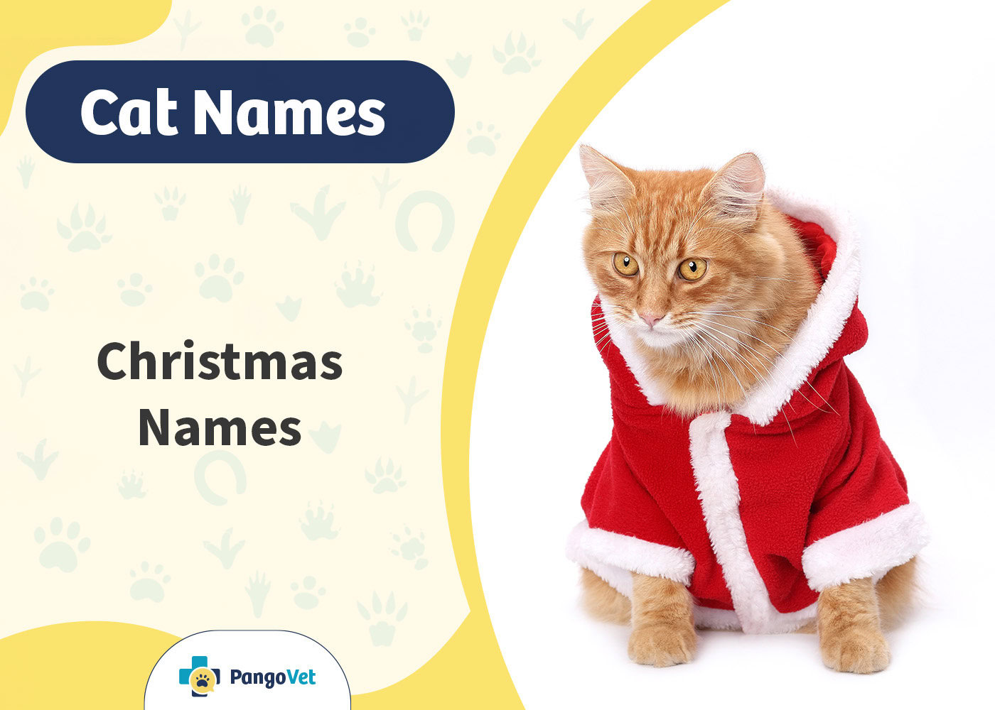 PangoVet_Christmas Cat Names