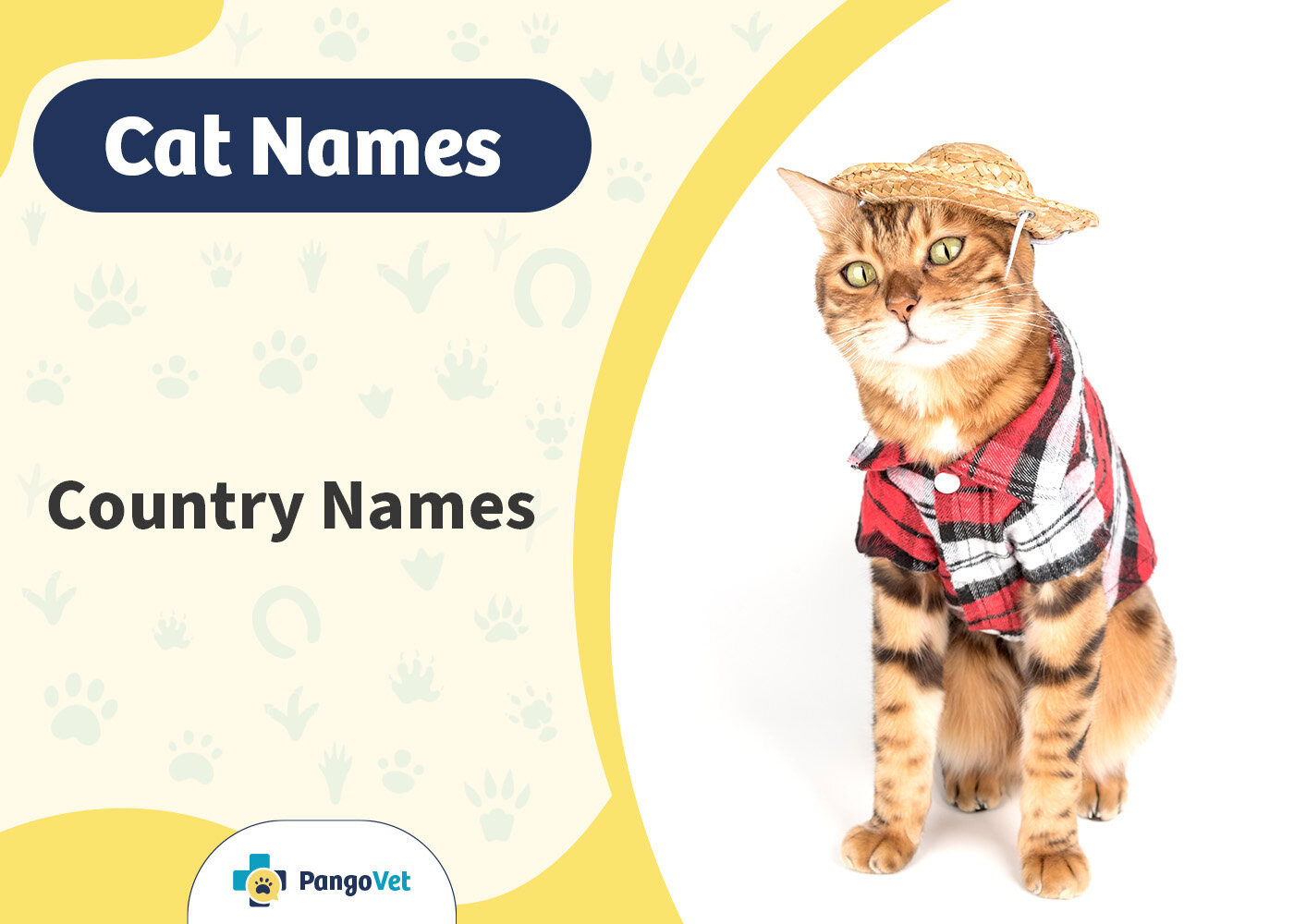 PangoVet_Country Cat Names
