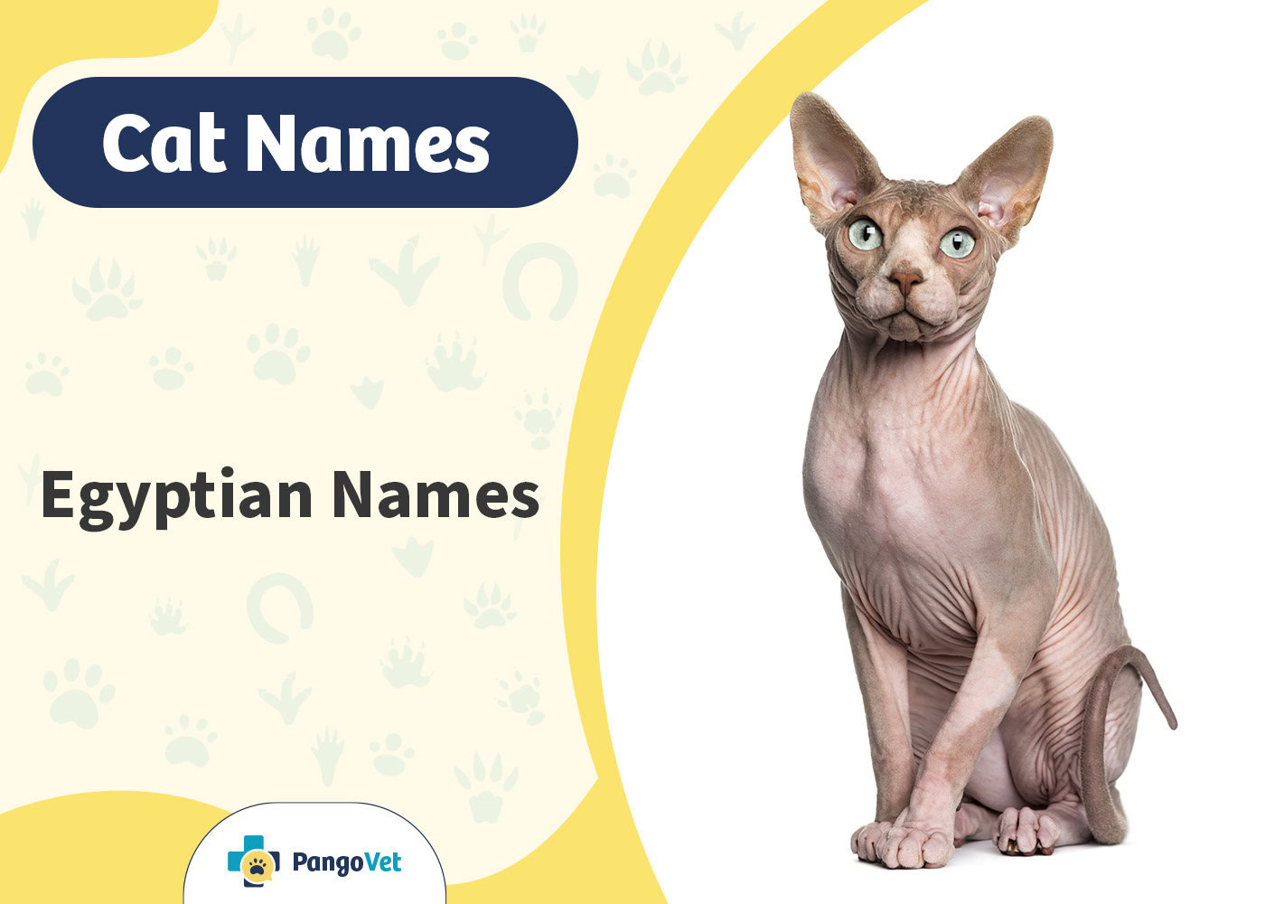 PangoVet_Egyptian Cat Names