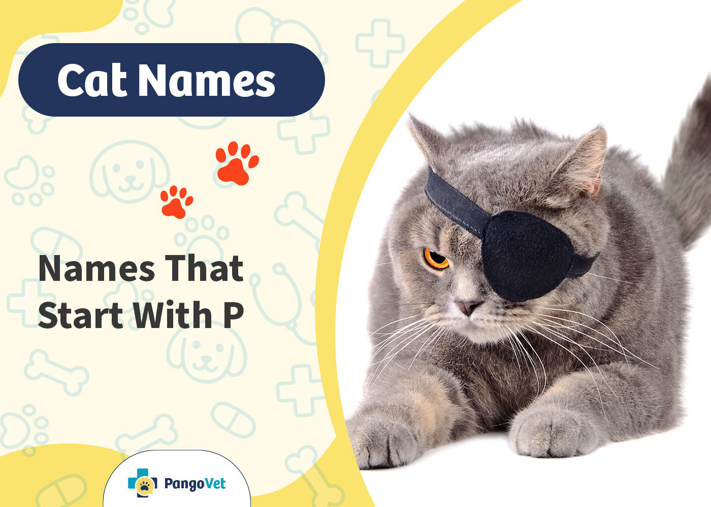 PangoVet_Names that Start with P