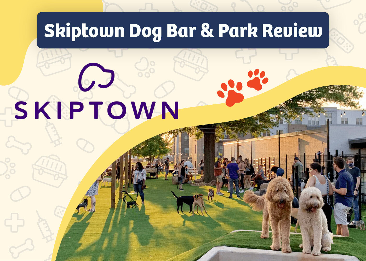 PangoVet_Review_Skiptown Dog Bar & Park Review