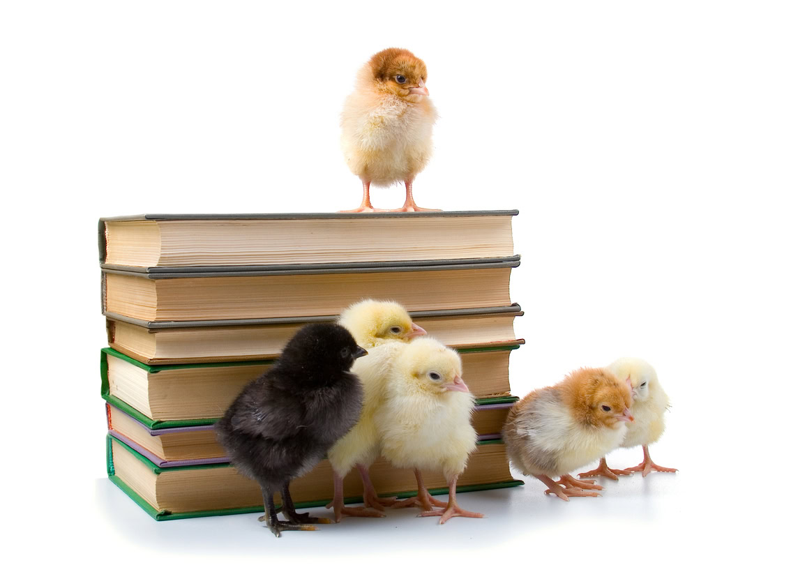 chickens and books