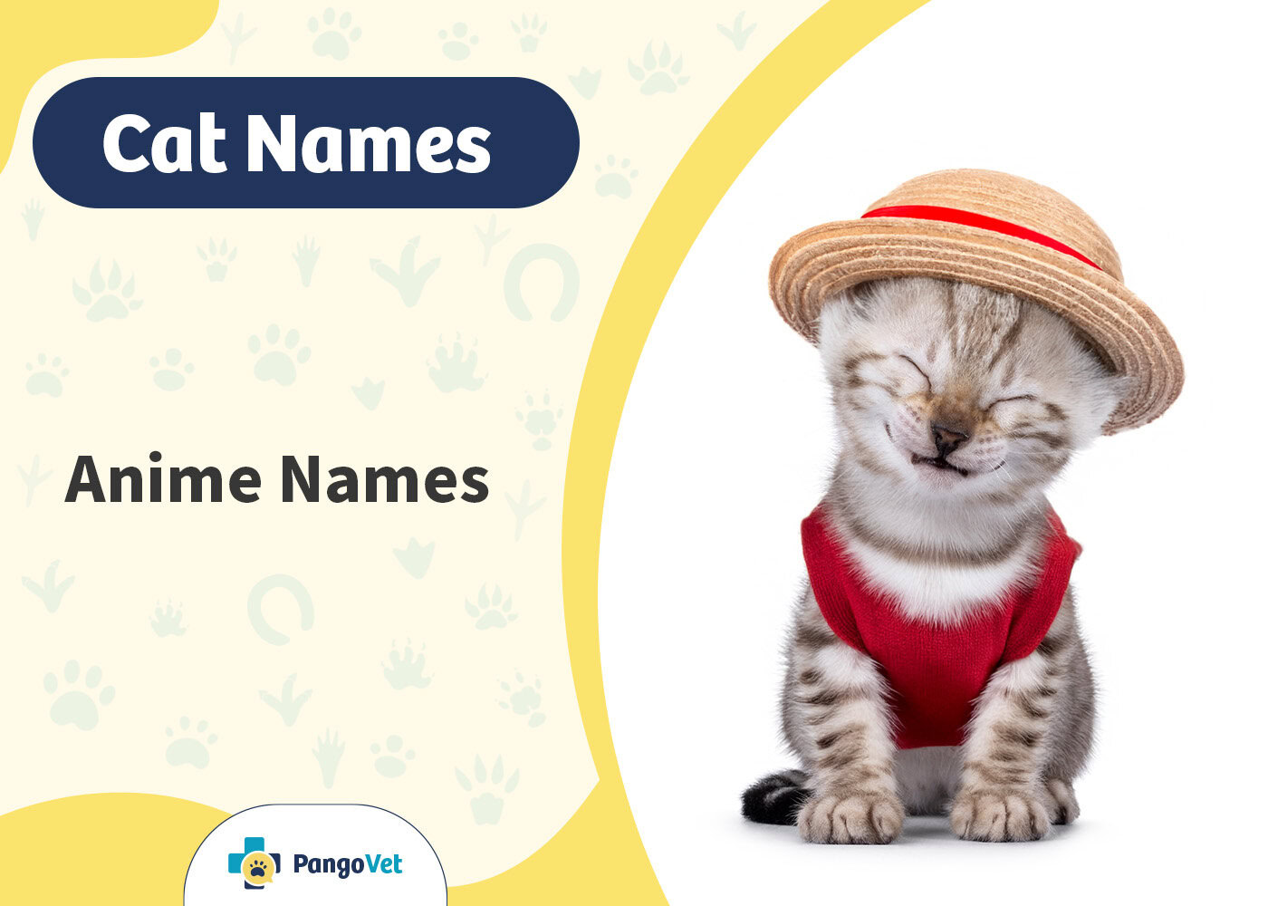 PangoVet_Anime Cat Names