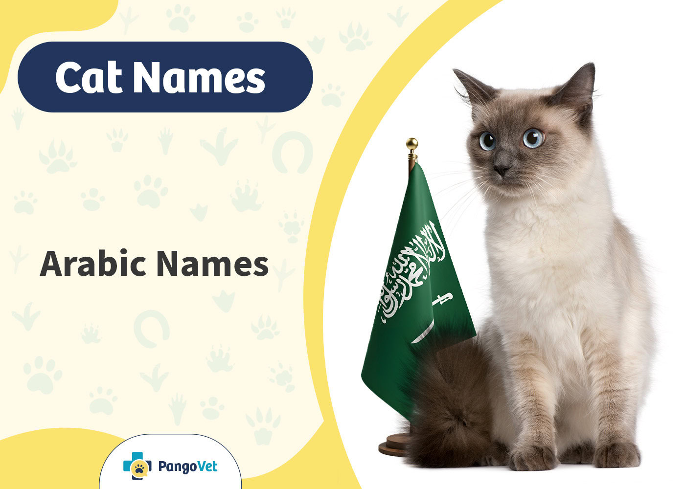 PangoVet_Arabic Cat Names