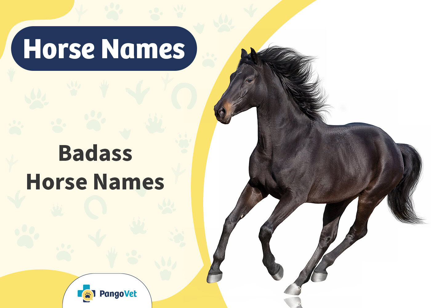 PangoVet_Badass Horse Names