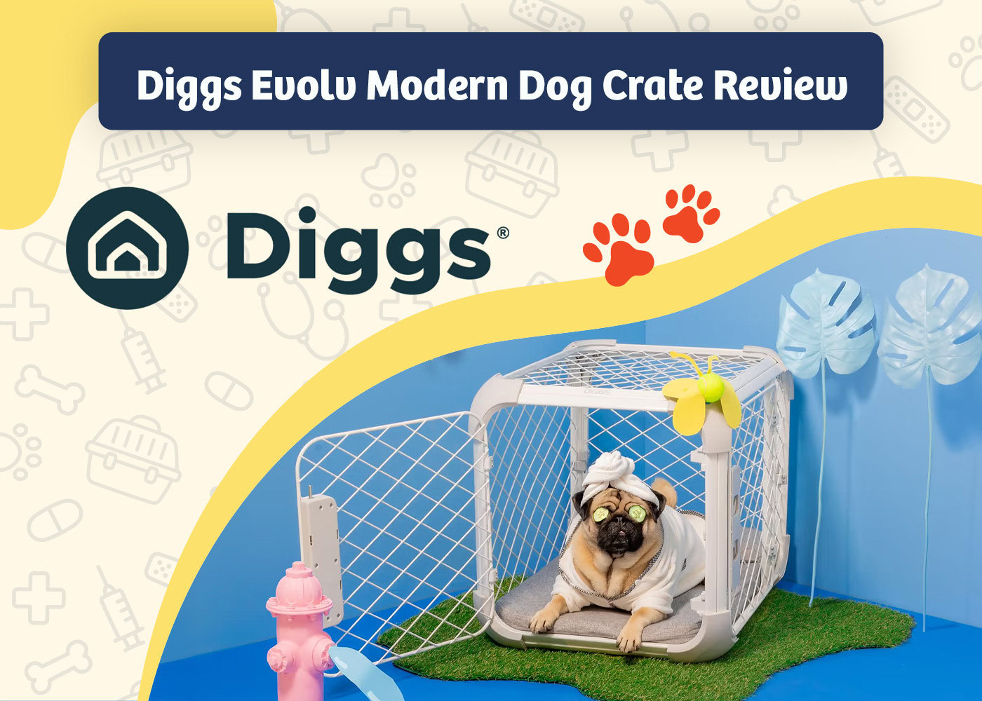 PangoVet_Review_Diggs Evolv Modern Dog Crate Review