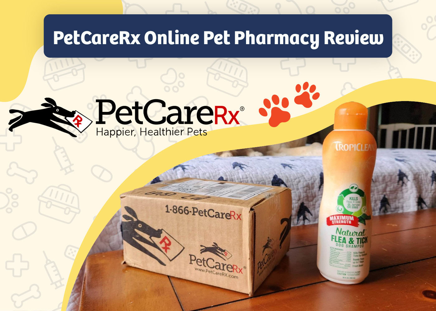 PetCareRx Online Pet Pharmacy Review 2025: Our Expert’s Opinion | PangoVet