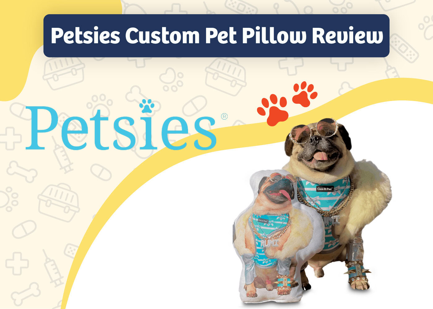PangoVet_Review_Petsies Custom Pet Pillow Review