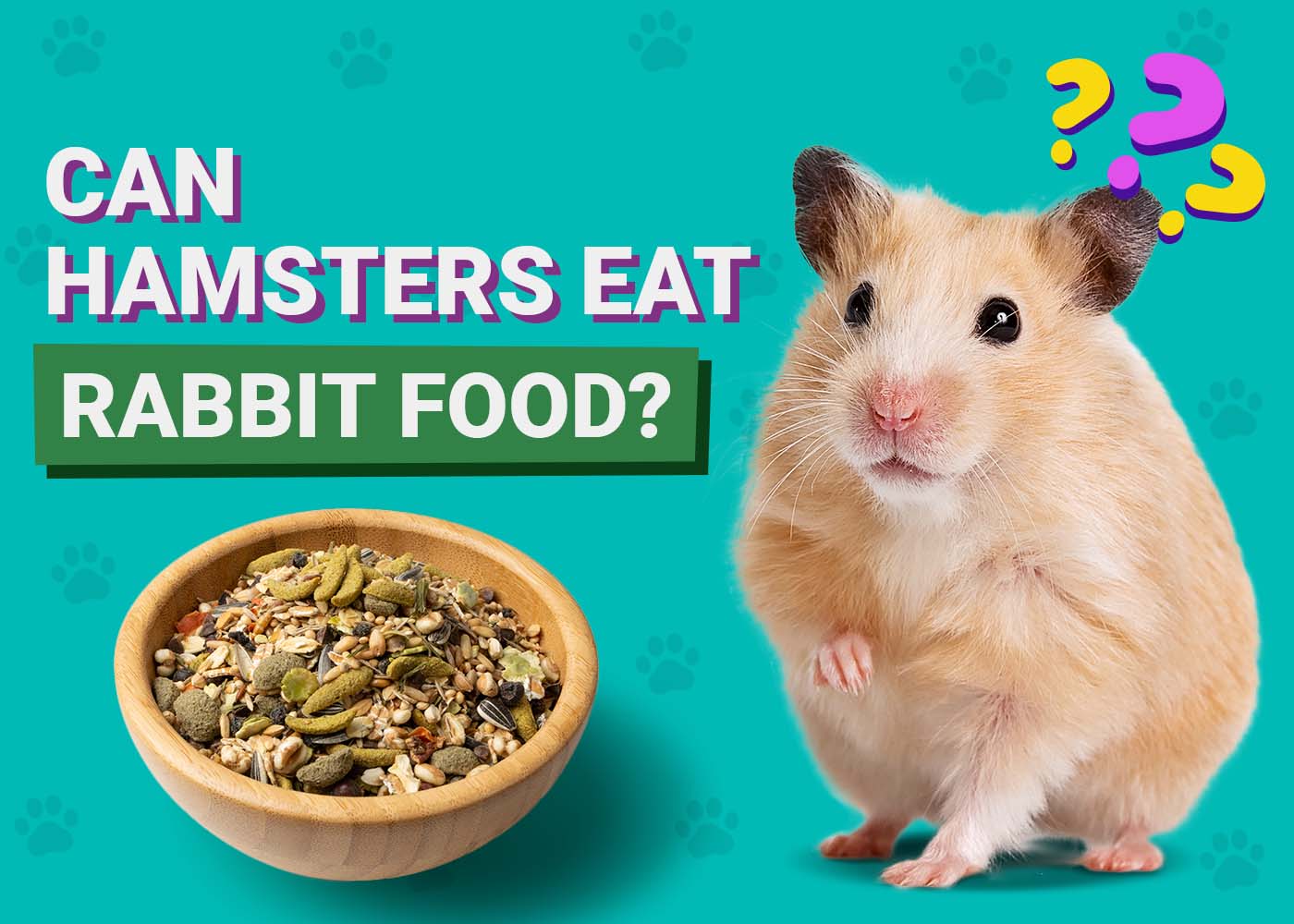 Can Hamsters Eat Rabbit Food? Facts &amp; Dietary Needs | PangoVet