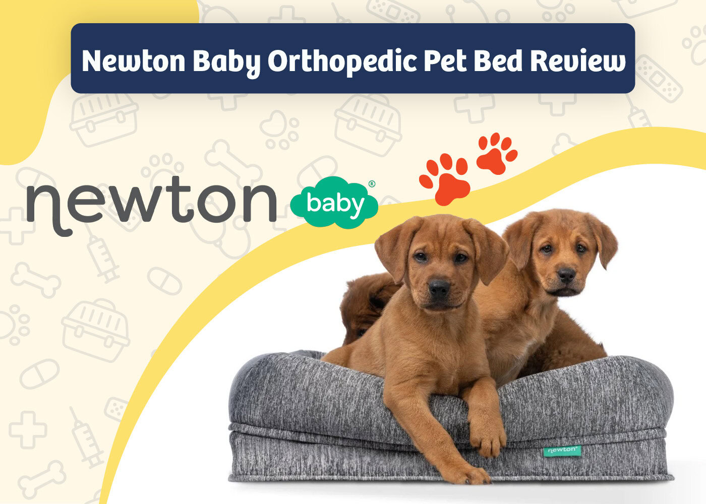 PangoVet_Review_Newton Baby Orthopedic Pet Bed Review