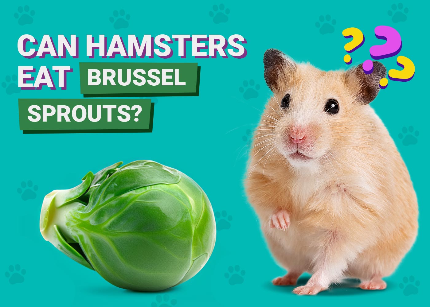 Can Hamsters Eat Brussels Sprouts? Vet Verified Nutrition Facts 