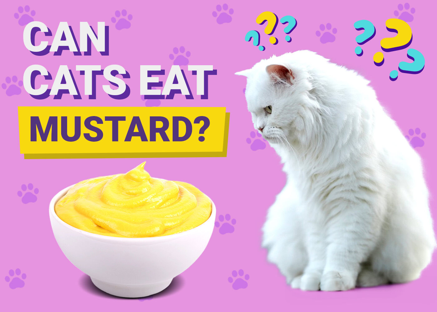 Can Cats Eat Mustard? Vet-Reviewed Health Risks &amp; Safety Guide 